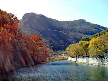 niaojingongzang