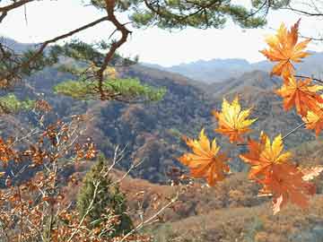 苹果12国行最新价格与彩打知识介绍