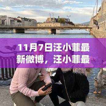 汪小菲最新微博动向，深度解读其在特定领域的地位与影响力