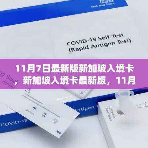 新加坡入境卡最新版发布,11月7日变革回顾与影响分析