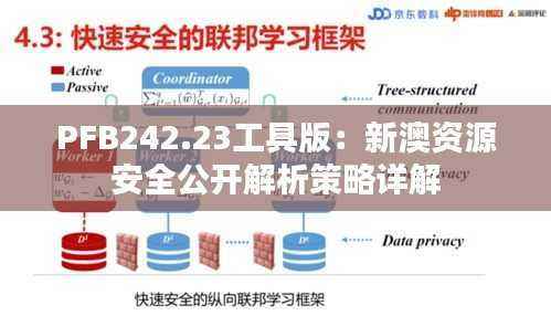 PFB242.23工具版：新澳资源安全公开解析策略详解