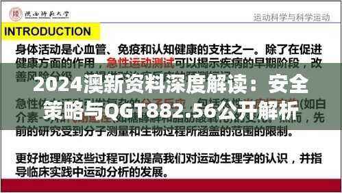 2024澳新资料深度解读：安全策略与QGT882.56公开解析