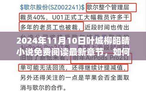 叶城柳昭晴小说免费阅读最新章节，获取与阅读详细步骤指南