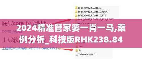 2024精准管家婆一肖一马,案例分析_科技版RHK238.84