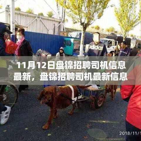 11月12日盘锦司机招聘信息更新,行业风向与未来展望