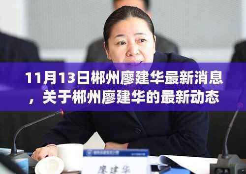 郴州廖建华最新动态深度解读与探讨,11月13日最新消息