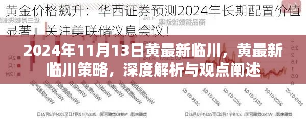 黄最新临川策略深度解析与观点阐述,2024年11月13日最新观察