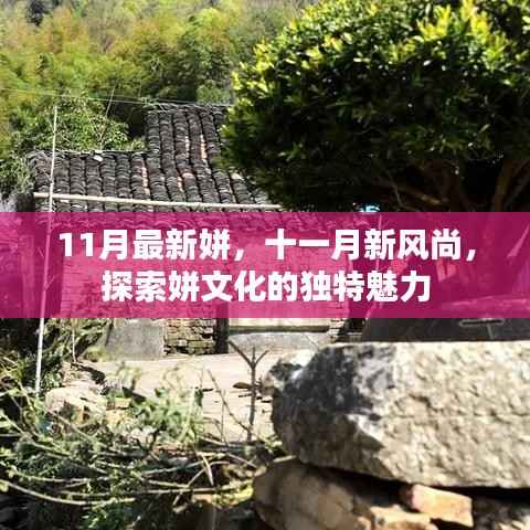 十一月新风尚,探索姘文化的独特魅力