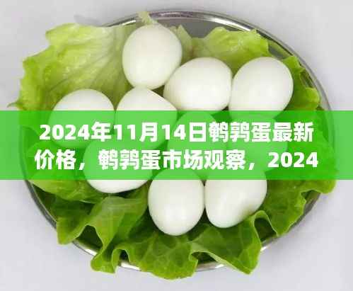 森久 第14页