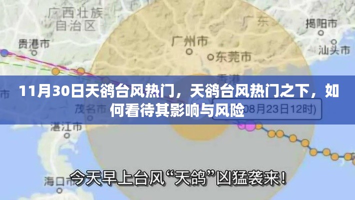 天鹆台风热门,影响与风险分析