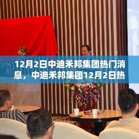 中迪禾邦集团最新动态解析,热门消息与观点探讨(12月2日)