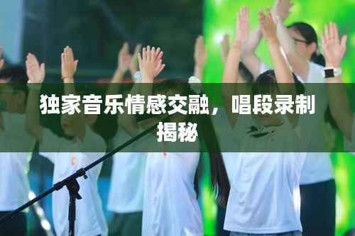 独家音乐情感交融,唱段录制揭秘