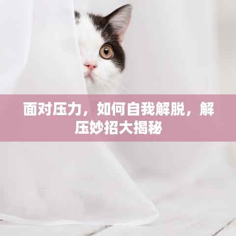 面对压力,如何自我解脱,解压妙招大揭秘