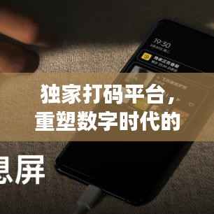 独家打码平台,重塑数字时代的隐私保护与信息安全新篇章