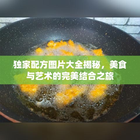 独家配方图片大全揭秘,美食与艺术的完美结合之旅