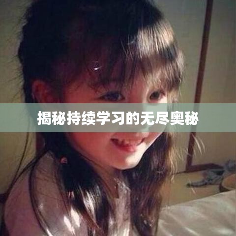揭秘持续学习的无尽奥秘